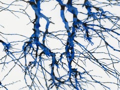 Inazuma m1, Horizontal Tree Branches Painting on Mylar with Cobalt, Dark Blue 