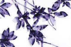 Into the Blue Study - Contemporary Violet Botanical Tree Painting on Mylar, 2018