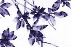 „Into the Blue Study“, dunkel-violettes, lila botanisches Baumgemälde auf weißem Mylar