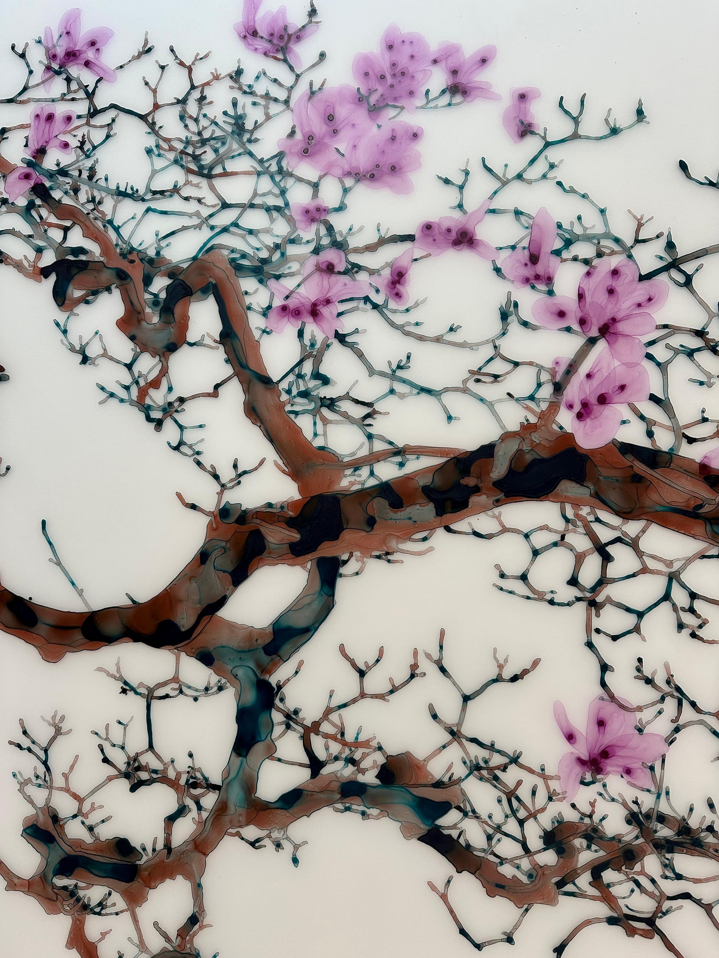Magnolia tardif, fleurs roses, branches d'arbre de bourgogne brunes Botanique en vente 1