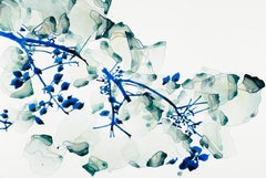 Peaking Through Cs1, peinture d'arbre botanique bleu sarcelle sur mylar blanc