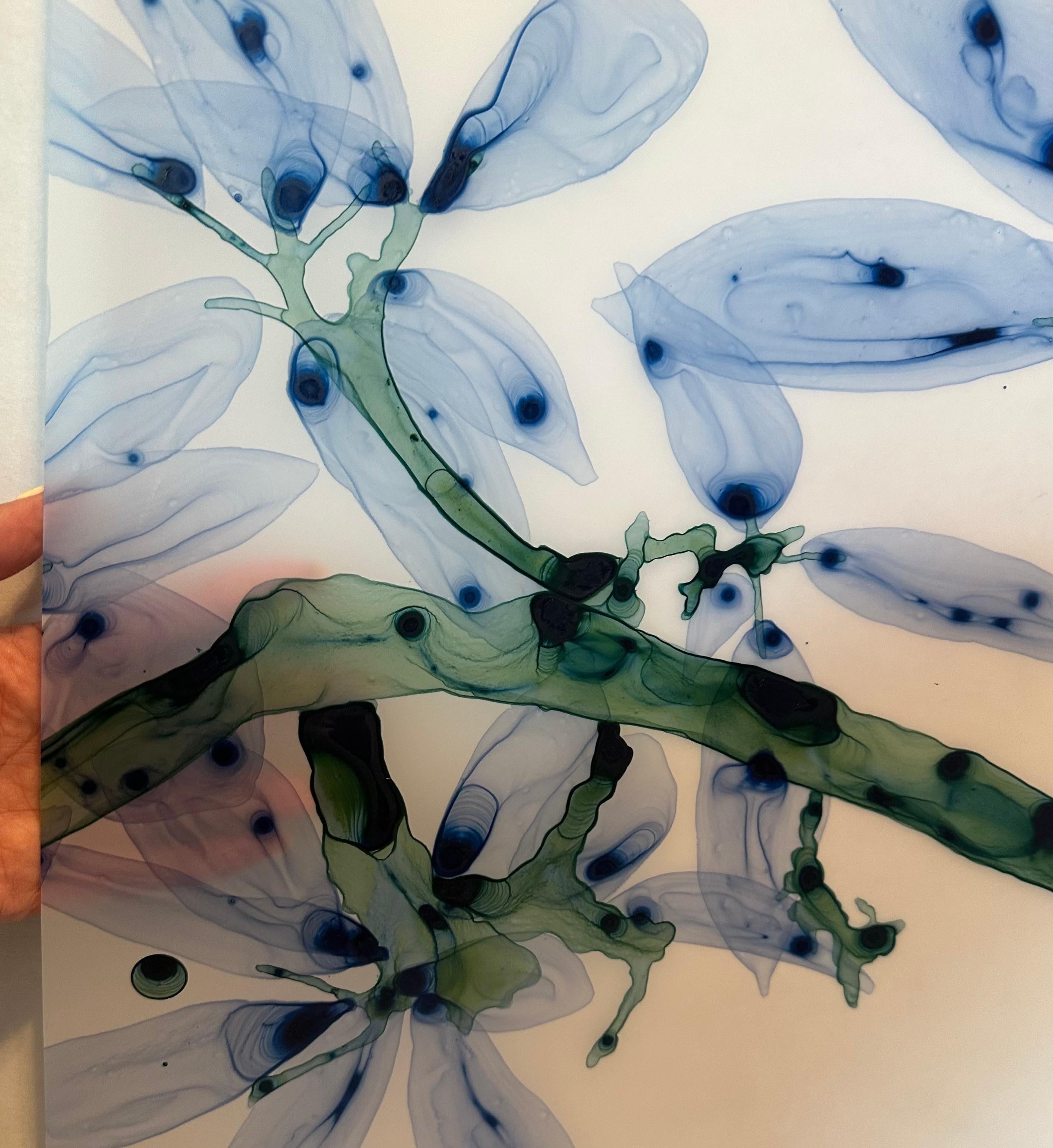 Perse Cs2 - Himmelblaues, dunkelgrünes, blaugrünes, botanisches Baumgemälde in Tealform aus weißem Mylar, 2023 im Angebot 6