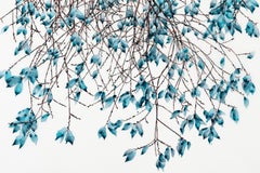 Rowdy Fall, Horizontal Botanical Tree Painting on Mylar in Teal Blue and Brown