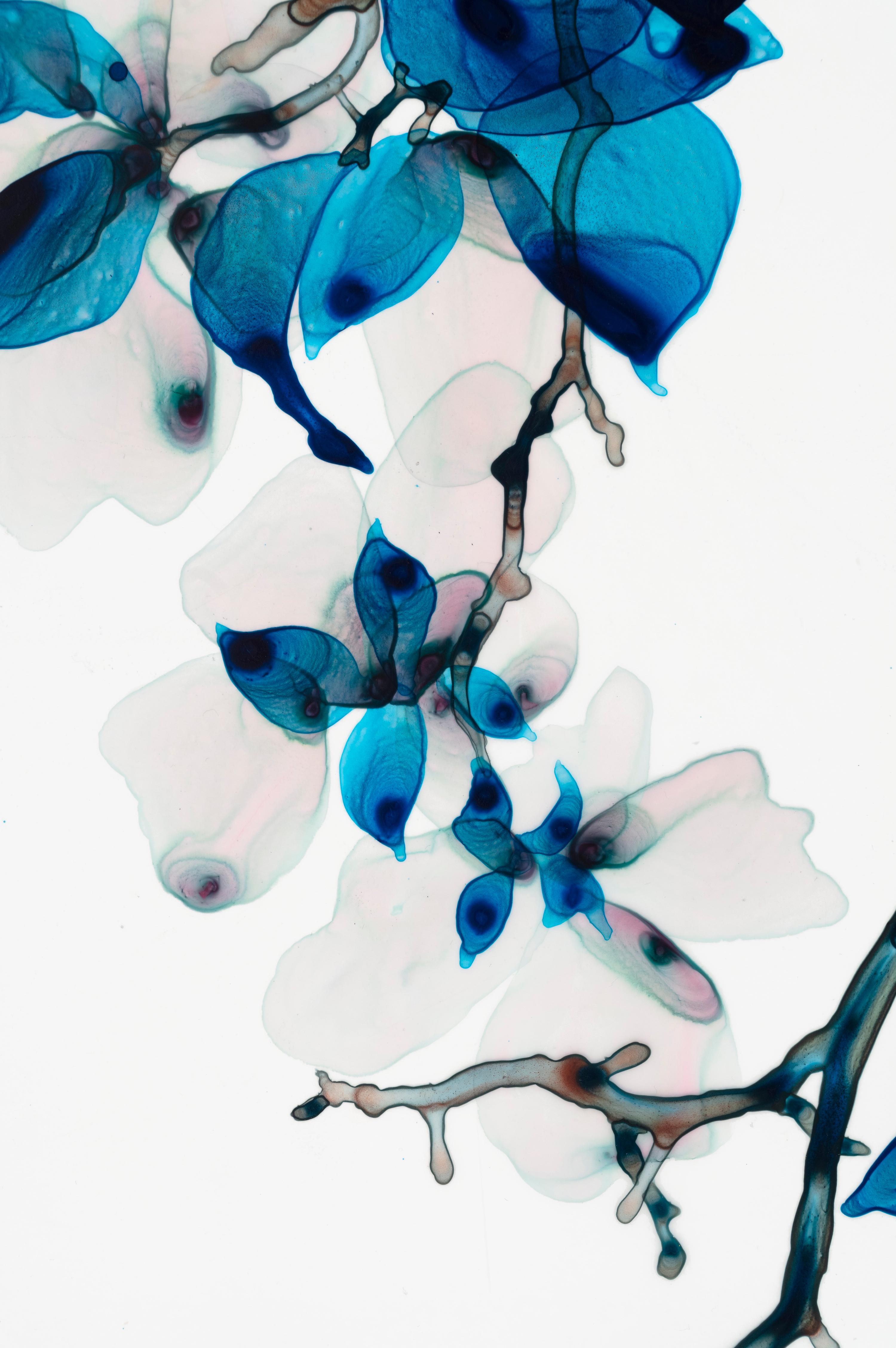 Peinture d'arbre botanique bleu vif, sarcelle, gris clair sur mylar - Contemporain Painting par Jackie Battenfield