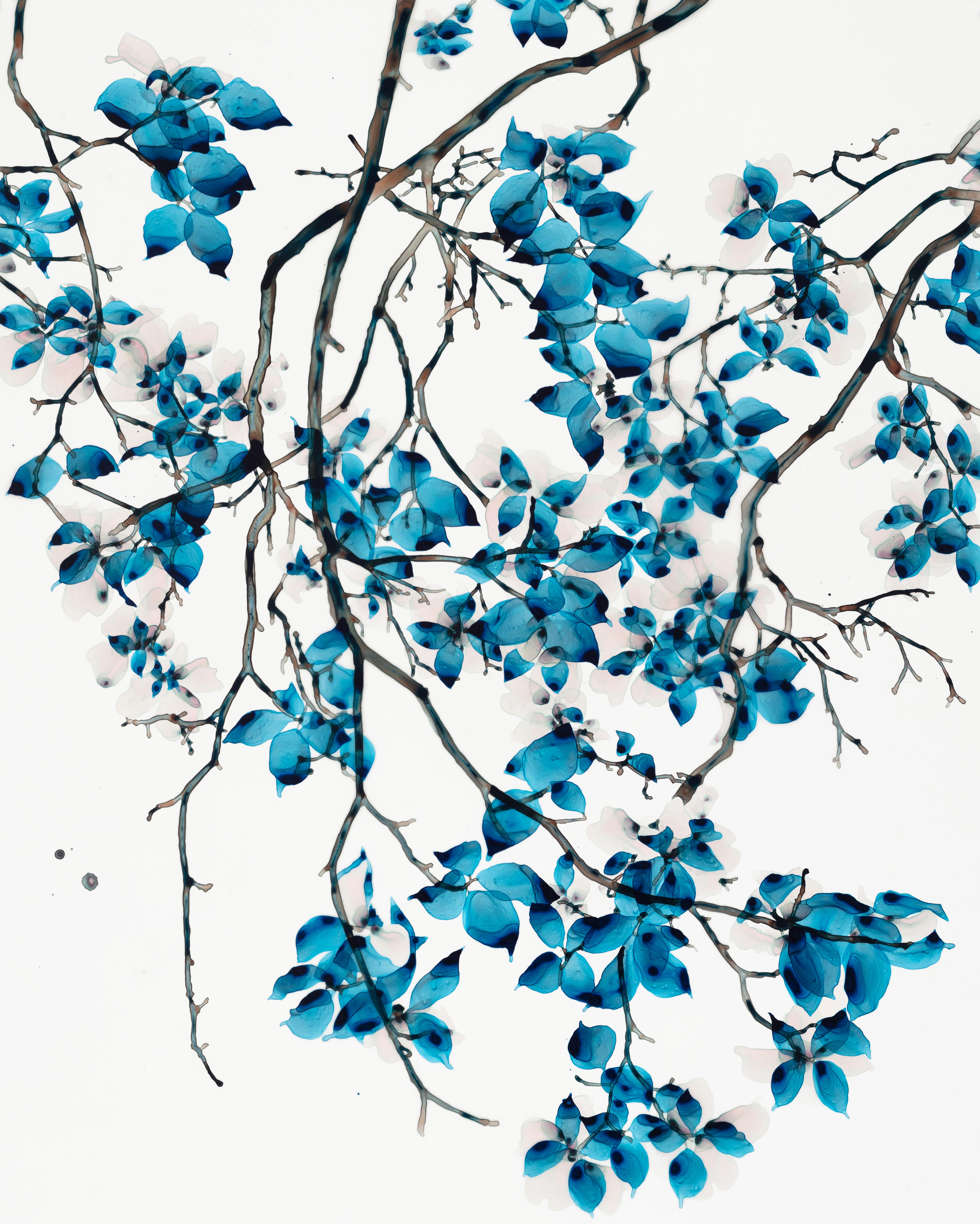 Sweet Ballad, Bright Blue, Teal, Light Gray Botanical Tree Painting On Mylar