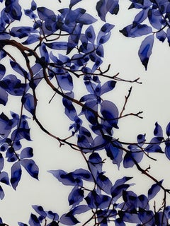 Twilight Shade, Purple Violet Blue, Umber Botanical Tree Branches, White Mylar