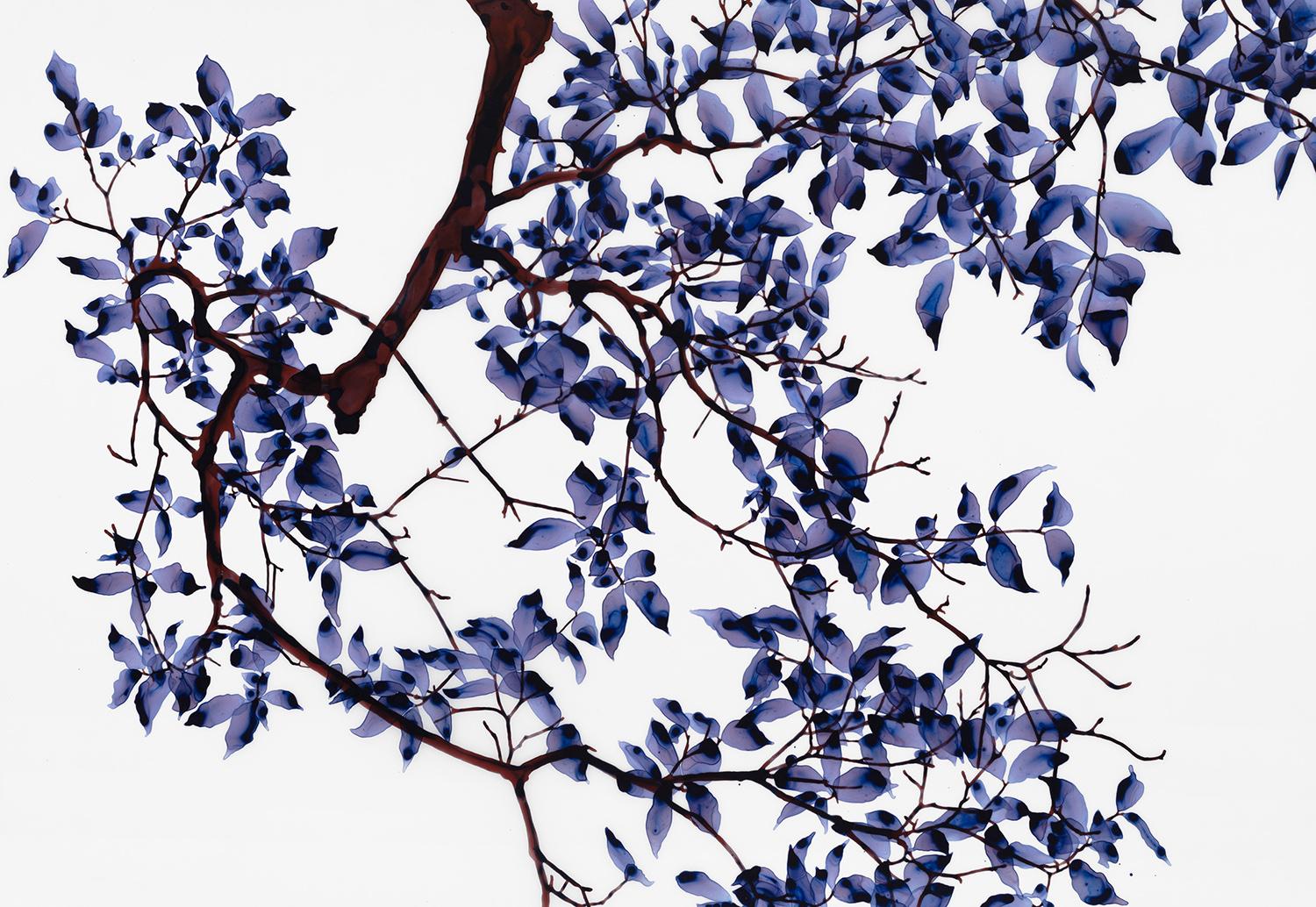 Twilight Shade, Purple Violet Blue, Umber Botanical Tree Branches, White Mylar - Painting by Jackie Battenfield