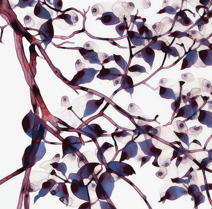 Under A Cloud Cs1, Vertical Botanical Painting on Mylar in Purple Blue and Brown 4