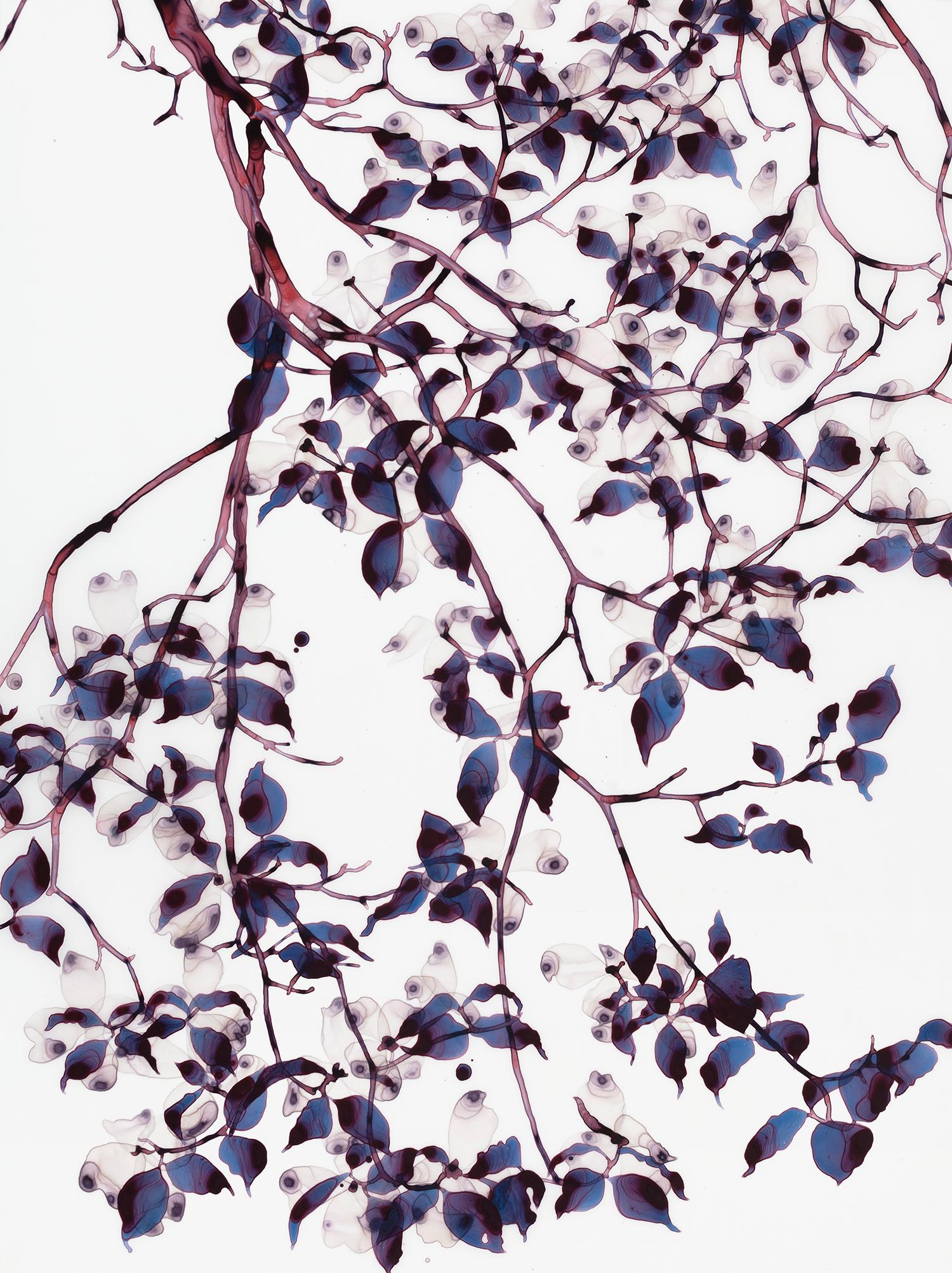 Layers of foliage in pale lavender purple and dark midnight blue grace delicate burgundy and dark brown branches on the pristine white background of this vertical painting in acrylic on Mylar mounted on acrylic panel. 

Jackie Battenfield’s