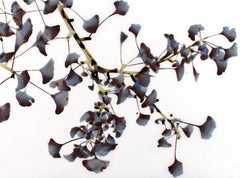 Velvet Shadows Cs3, Horizontal Botanical Painting on Mylar in Blue, Gray, Olive