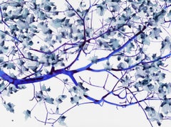 Windswept Cs1, Horizontal Electric Blue, Gray Botanical Mylar Tree Painting