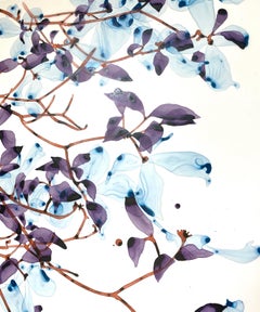 April Frost Cs1 - Violet Pale Blue Leaves Botanical Brown Tree Branches, 2022