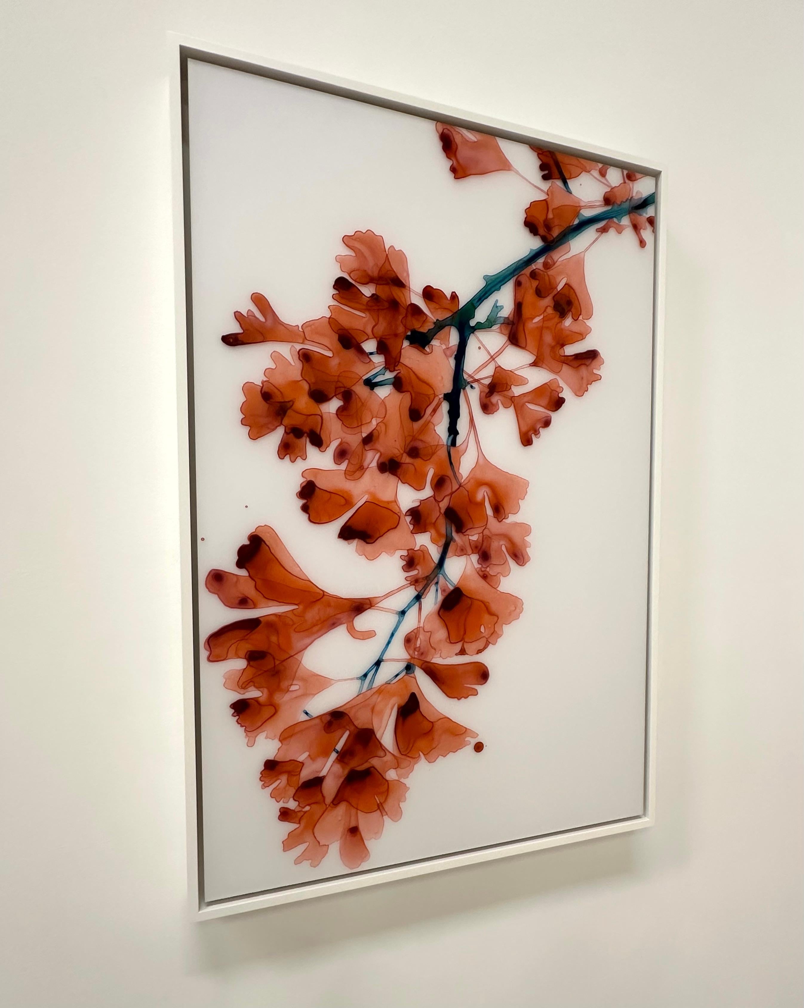 Chimera Cs4 - Koralle Rot Orange Gingko Baum botanisches Gemälde Weiß Mylar, 2024 (Zeitgenössisch), Painting, von Jackie Battenfield