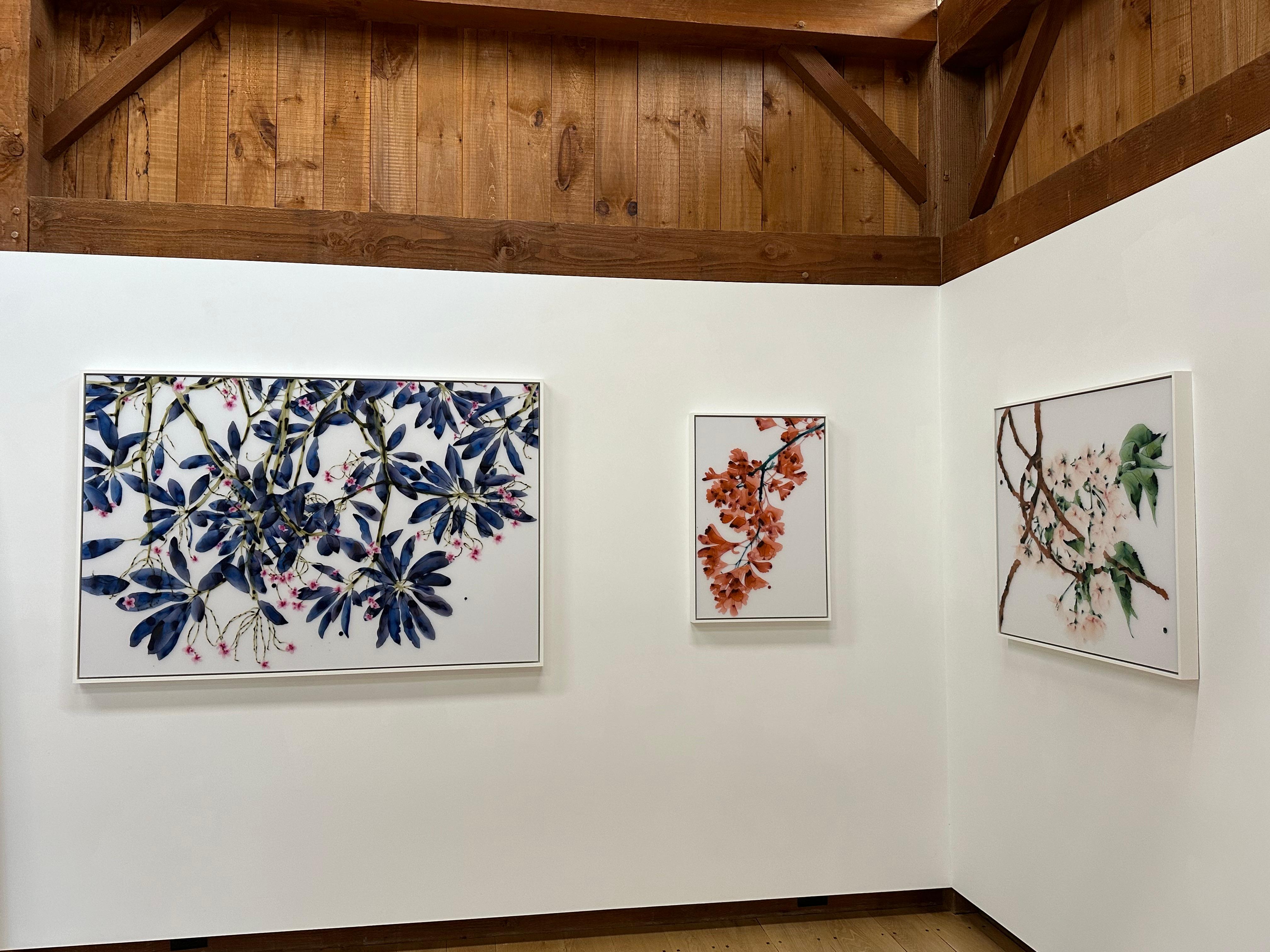 Laubschichten eines Gingko-Baums mit korallenroten, orangefarbenen Blättern zieren dunkle, indigoblaue Zweige auf dem makellosen weißen Hintergrund dieses zeitgenössischen botanischen Gemäldes auf Mylar, das auf eine Acrylplatte montiert