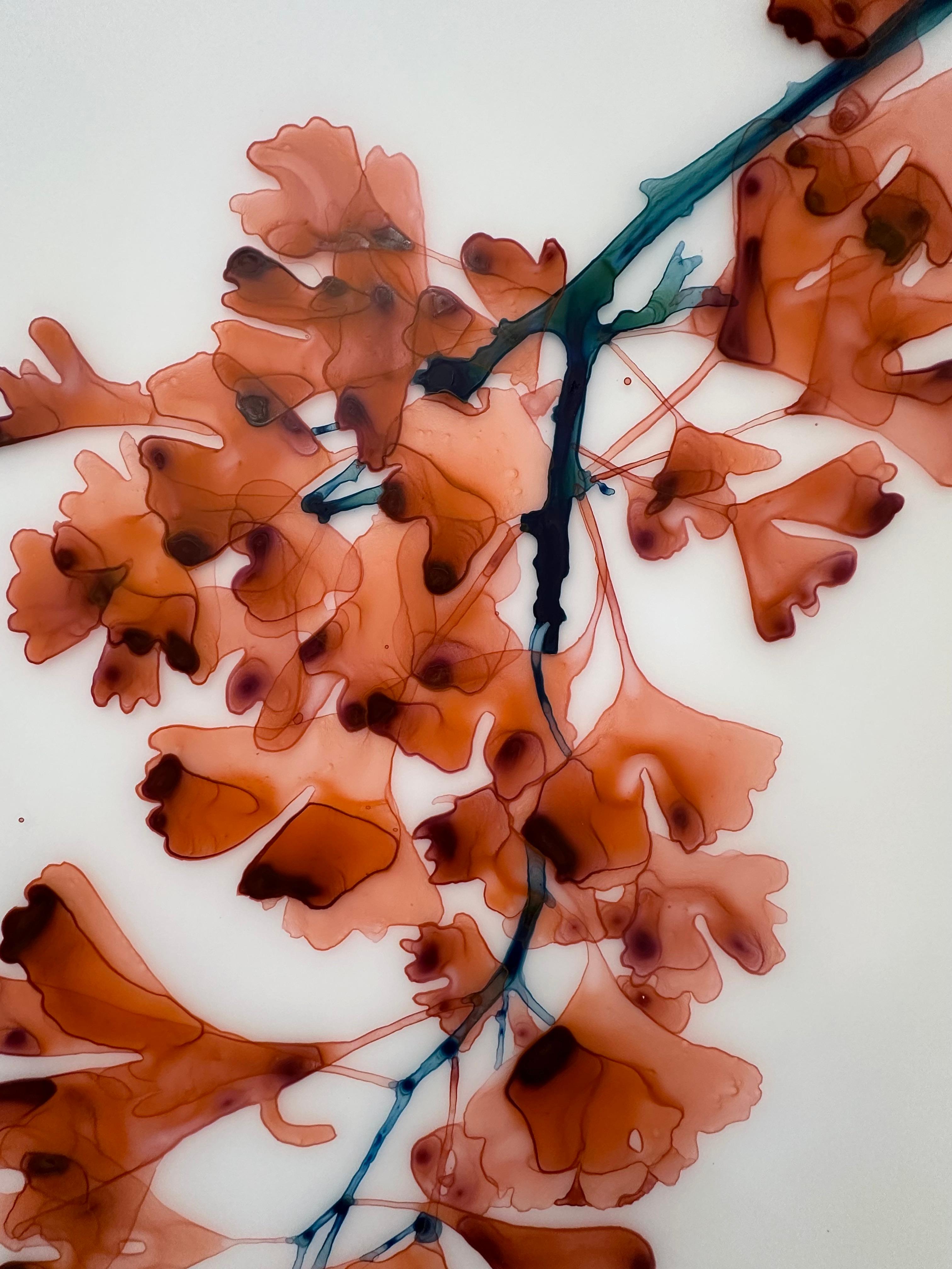 Chimera Cs4 - Koralle Rot Orange Gingko Baum botanisches Gemälde Weiß Mylar, 2024 im Angebot 3