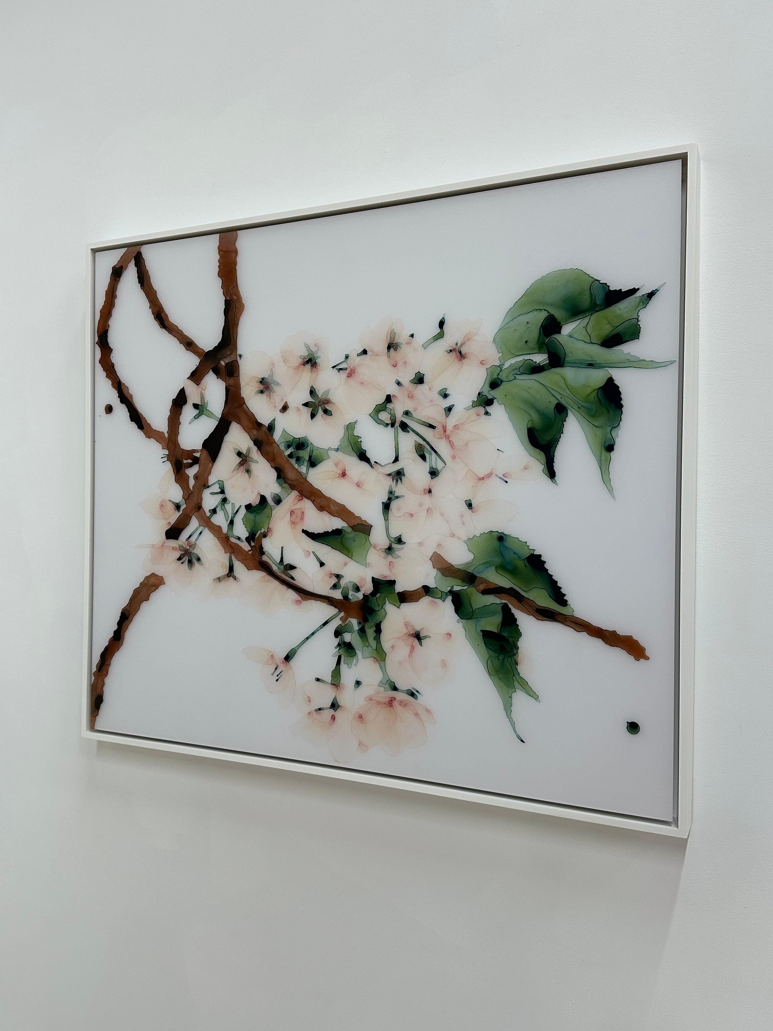First Blush - Pale Peach Flowers Brown Tree Olive Leaves Botanical Painting 2023 For Sale 12