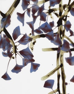 Tingling VI - Mylar botanico dell'albero di Gingko in borgogna, viola, marrone, oro e oliva, 2015