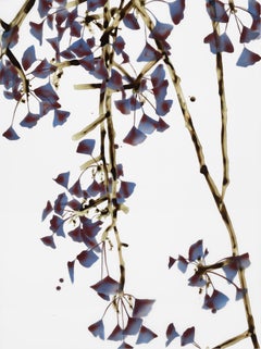 Tingling VI - Mylar botanico dell'albero di Gingko in borgogna, viola, marrone, oro e oliva, 2015