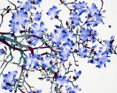 Tip Top Cs1 - Violet Blossoms Botanical Tree Painting White Mylar, 2022