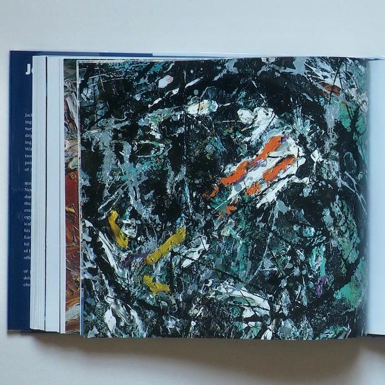 Jackson Pollock 1st Edition 1998 For Sale at 1stDibs