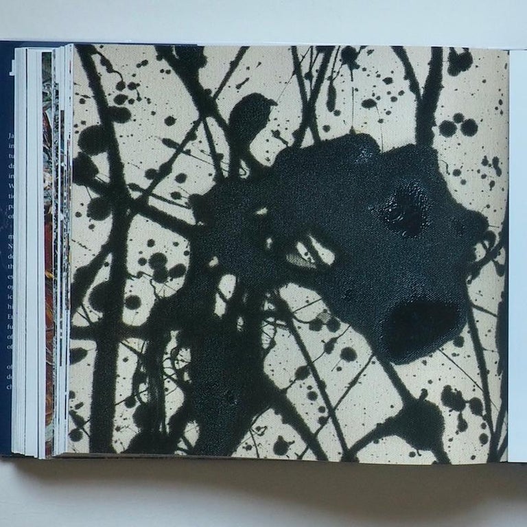 Jackson Pollock 1st Edition 1998 For Sale at 1stDibs
