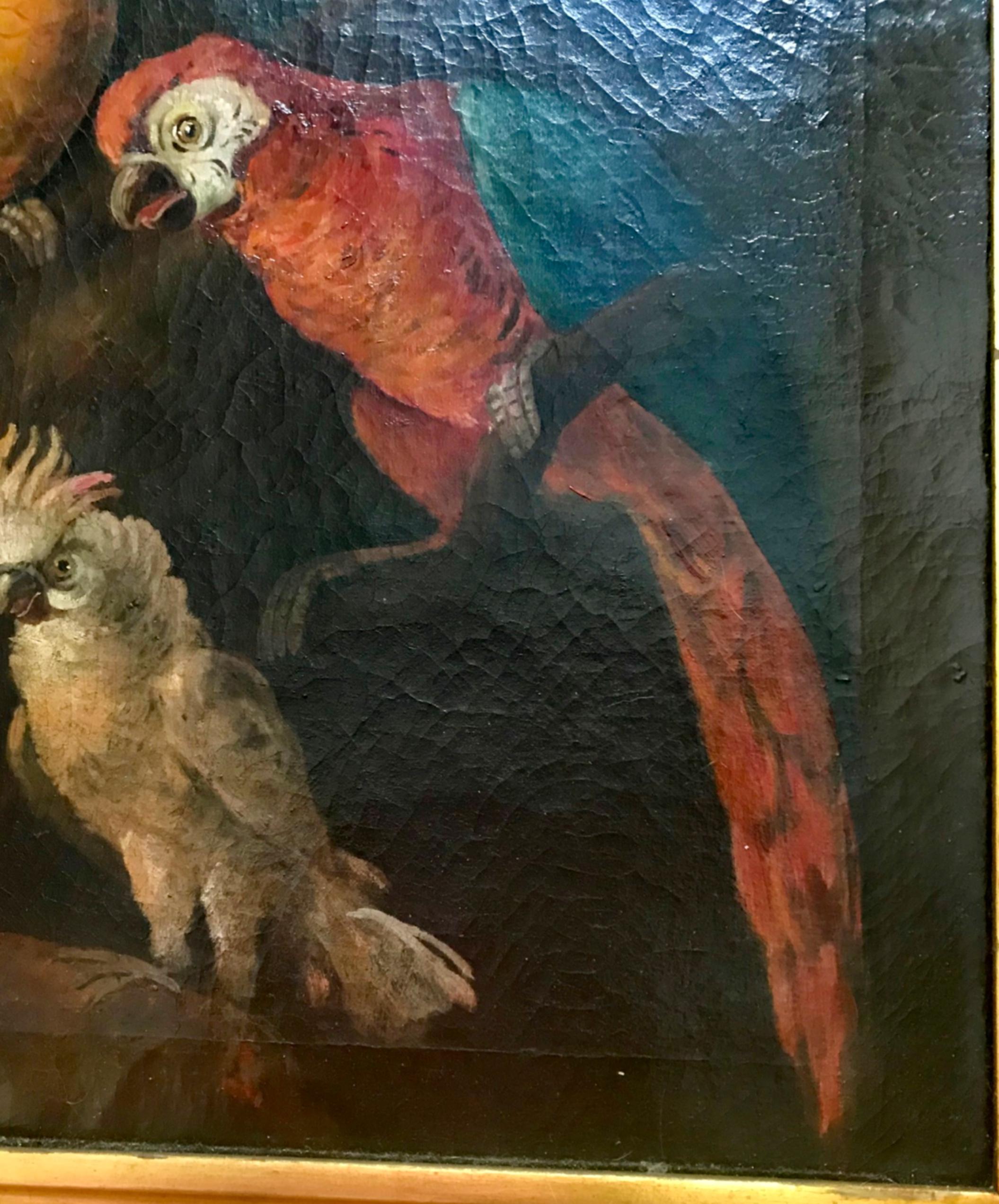 Jacob Bogdani Follower, Still Life with Parrots Oil on Canvas 3