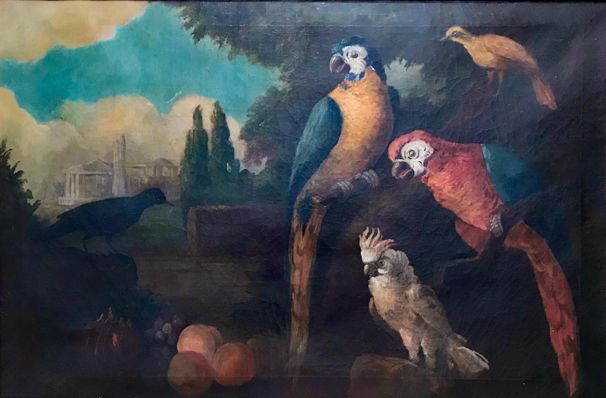 English Jacob Bogdani Follower, Still Life with Parrots Oil on Canvas