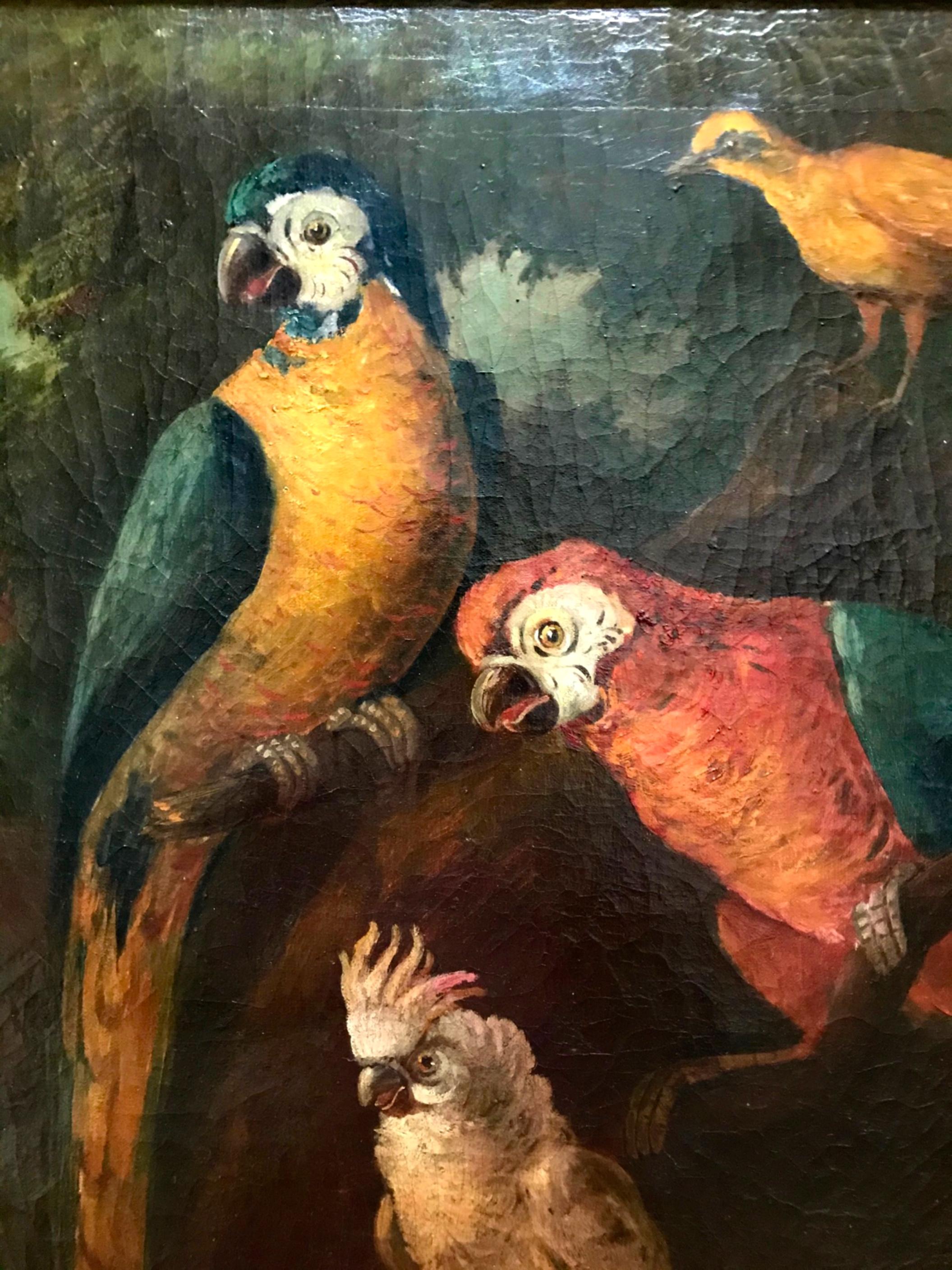 Hand-Painted Jacob Bogdani Follower, Still Life with Parrots Oil on Canvas