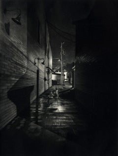 Nightrise II (Winner Boston Museum Philbrick Prize/Added to BMFA collection)