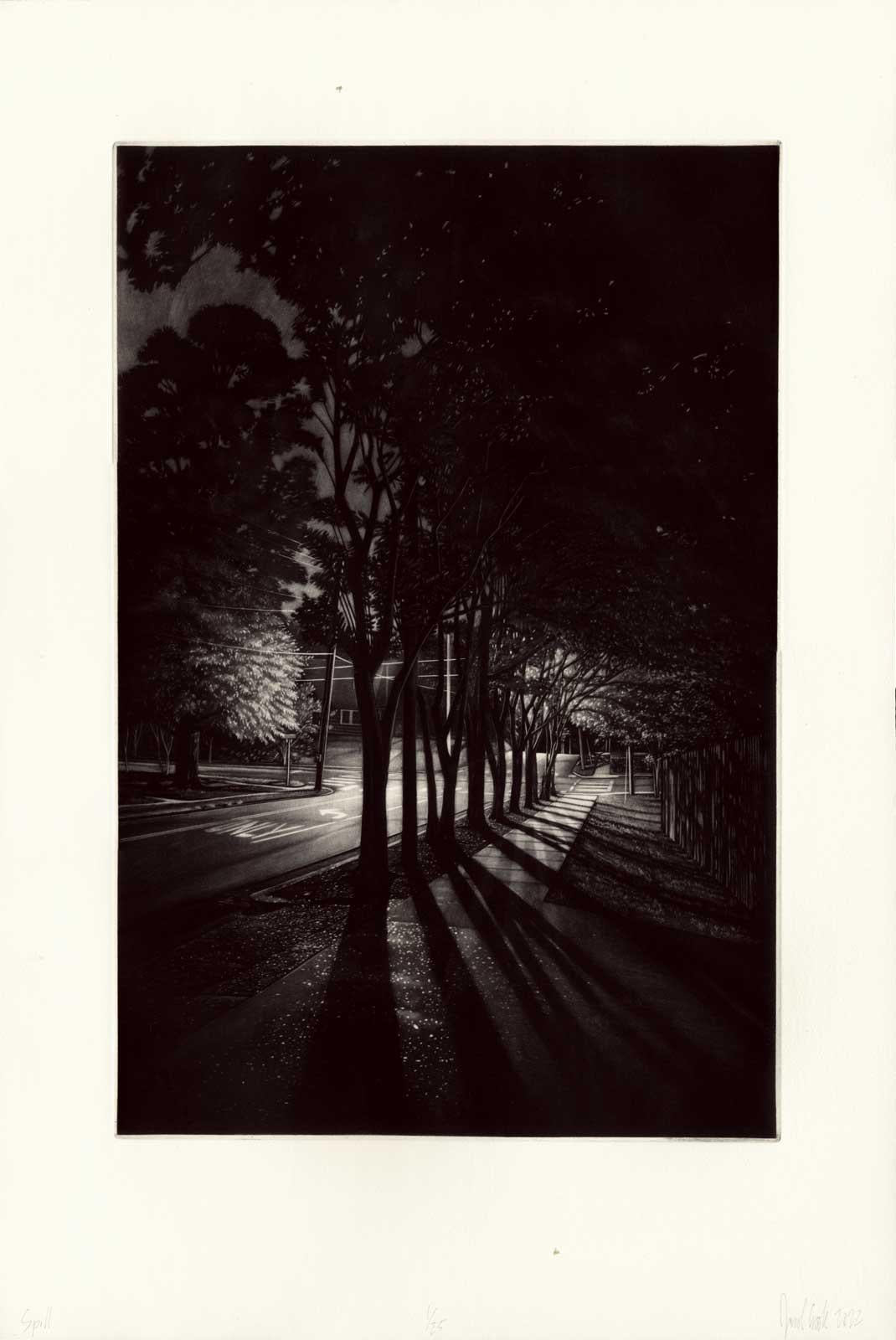 Spill (A canopy of crepe myrtle trees dominate this deep southern street night) - Print by Jacob Crook