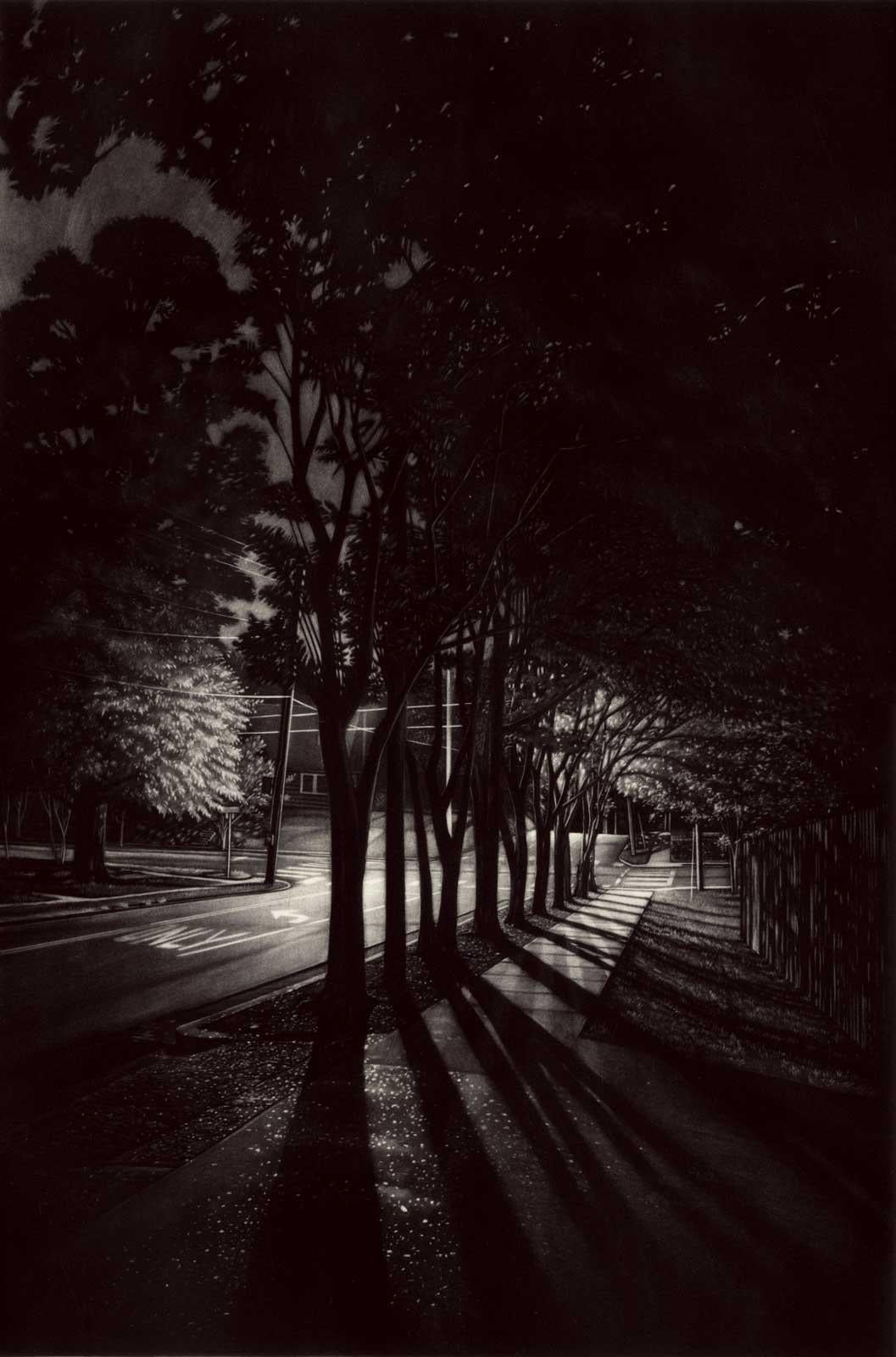Jacob Crook Landscape Print - Spill (A canopy of crepe myrtle trees dominate this deep southern street night)