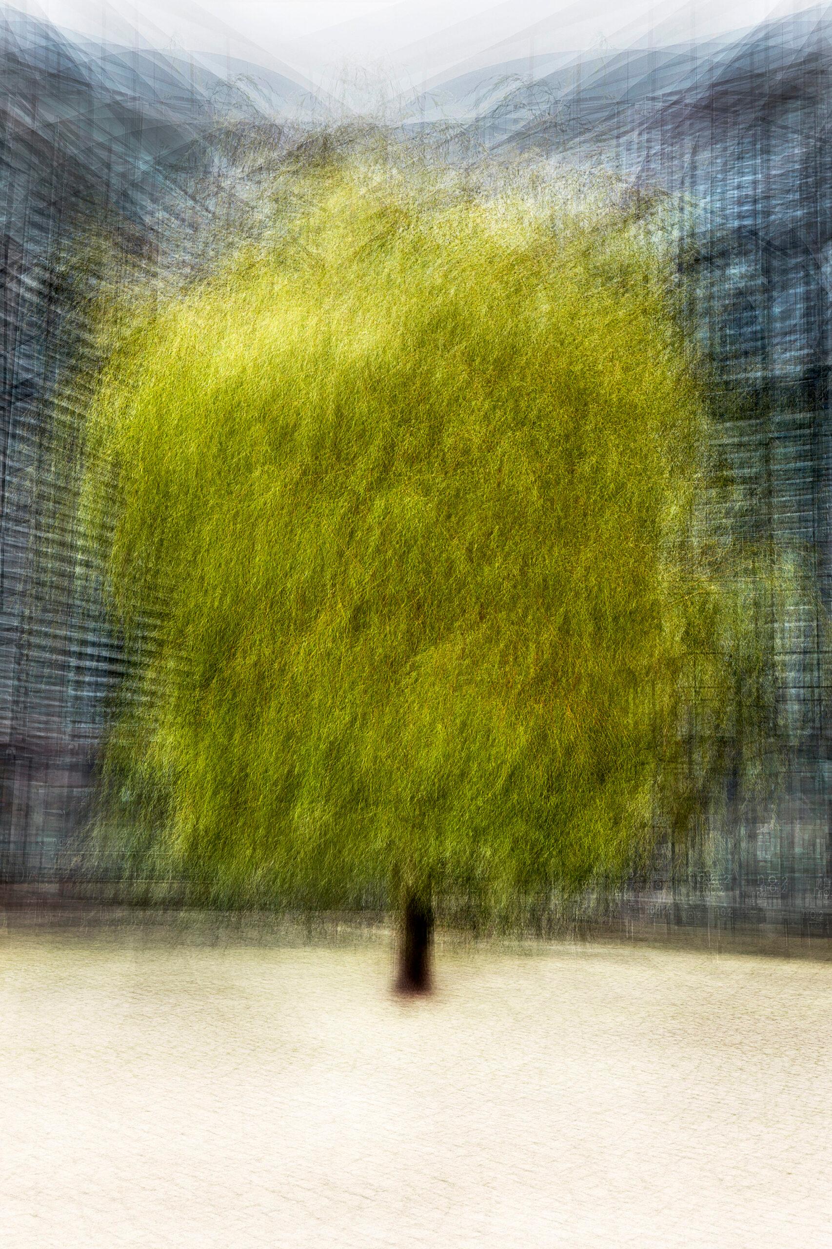 Kopenhagen #23 von Jacob Gils - Zeitgenössische Stadtbildfotografie - Bäume