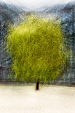 Kopenhagen #23 von Jacob Gils - Zeitgenössische Stadtbildfotografie - Bäume