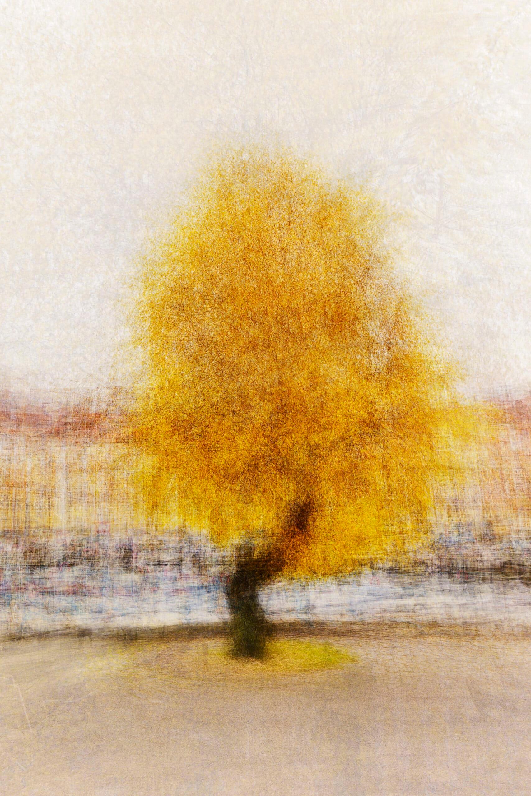 Jacob Gils Color Photograph - Copenhagen #25 - Contemporary Landscape Photography - Tree
