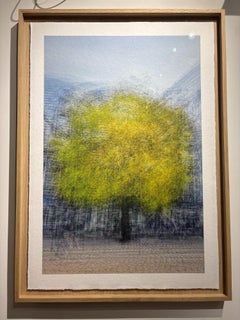 Copenhagen #28 by Jacob Gils - Tree - Multiple Exposure Photography