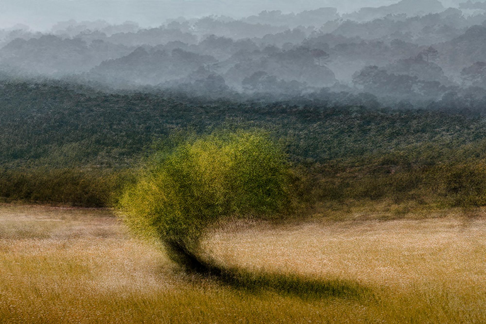 Es Capdella #4 by Jacob Gils - Multiple Exposure Photography - Tree - Landscape
