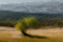 Es Capdella n.º 4, de Jacob Gils - Fotografía de exposición múltiple - Árbol - Paisaje