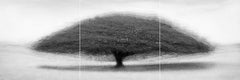 Jacob Gils - Cali n° 8 : TRIPTYQUE EN NOIR ET BLANC, Photographie 2023