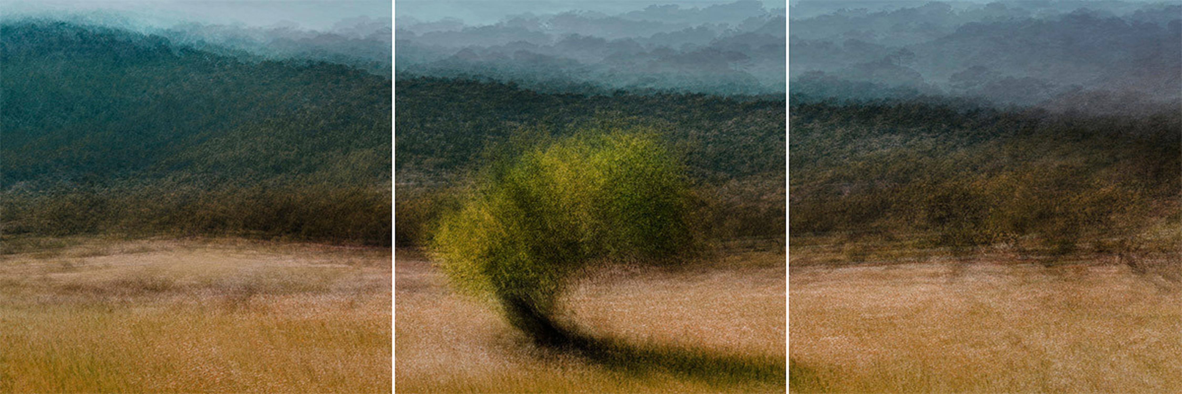 Jacob Gils - ES CAPDELLA #4, Photography 2023