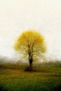 Jacob Gils - FREDERIKSDAL n.º 2, Fotografía 2012