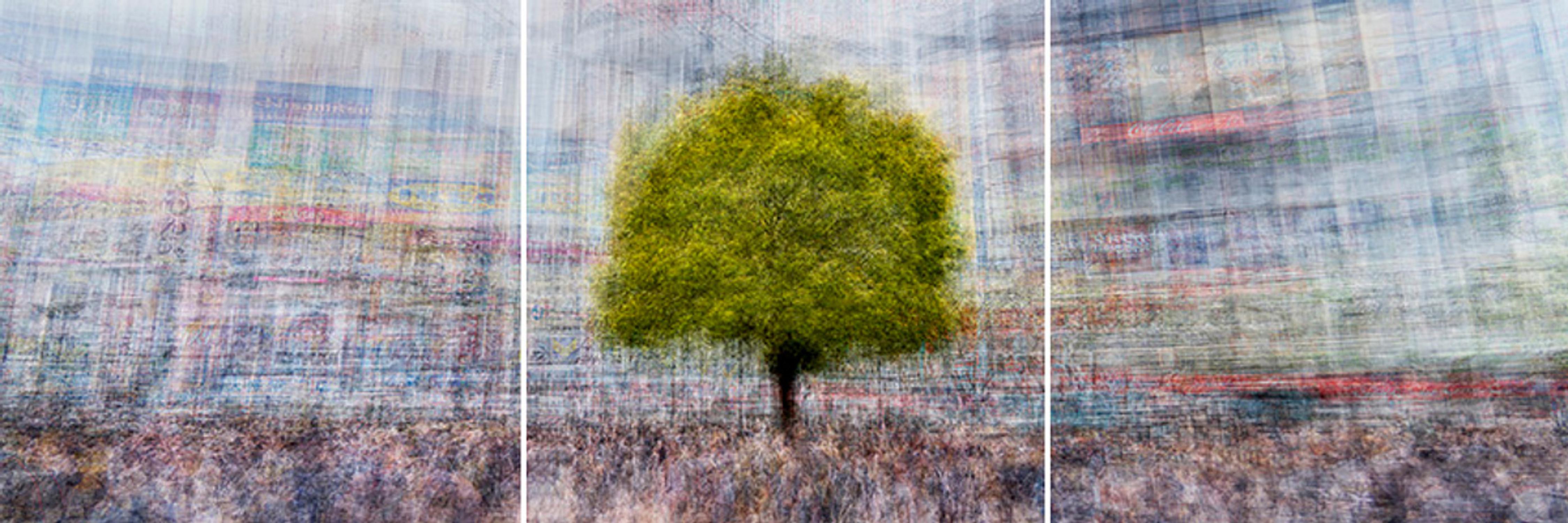 Quiero desafiar la tradición documental de la fotografía occidental creando obras que fusionen lo realista con lo abstracto. Al cuestionar deliberadamente mi propia identidad artística, así como la del género fotográfico, intento crear imágenes que