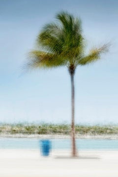 Key West #2 by Jacob Gils - Contemporary Landscape Photography - Palm Trees