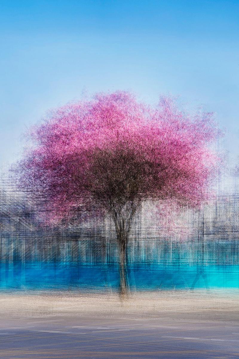 LA #4 by Jacob Gils - Contemporary Landscape Photography