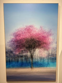 LA #4 par Jacob Gils - Photographie à exposition multiple - Arbre - Paysage urbain
