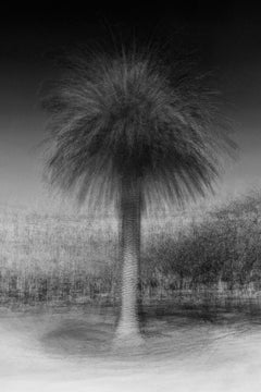 Lisbon #1 by Jacob Gils - Contemporary Cityscape Photography - Tram