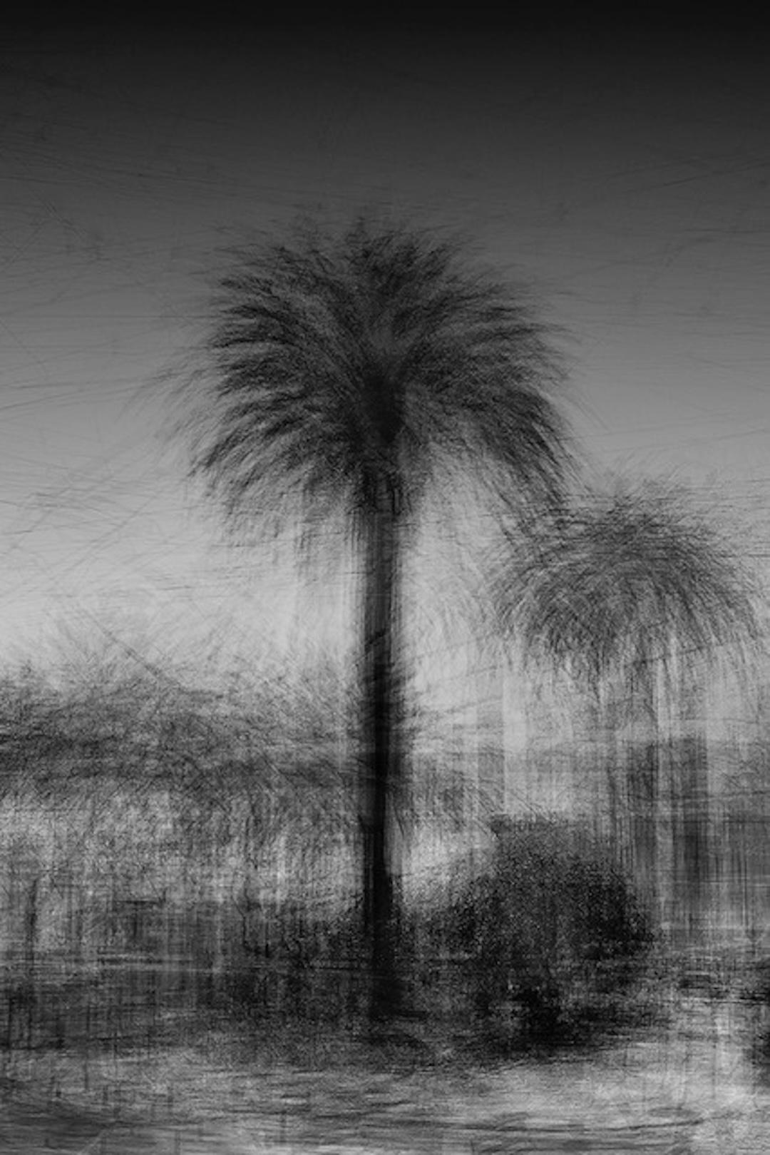 Lisboa nº 2
2023

Tallas disponibles:

110 x 73 cm (43.3" x 28.7")  Edición de 9 ejemplares

La serie Movimiento - Ciudades de Jacob Gil examina la energía y el impulso de los entornos urbanos mediante el desenfoque de movimiento y la fotografía de