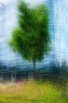 Milan #6 by Jacob Gils - Contemporary Landscape Photography - Trees