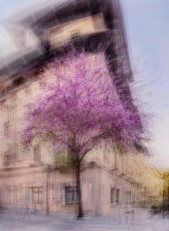 Palma #11 by Jacob Gils - Tree - Multiple Exposure Photography