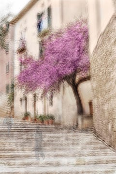 «Palma n.º 14», de Jacob Gils - Árbol - Fotografía de exposición múltiple