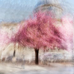 París n.º 5, de Jacob Gils - Árbol - Fotografía de exposición múltiple